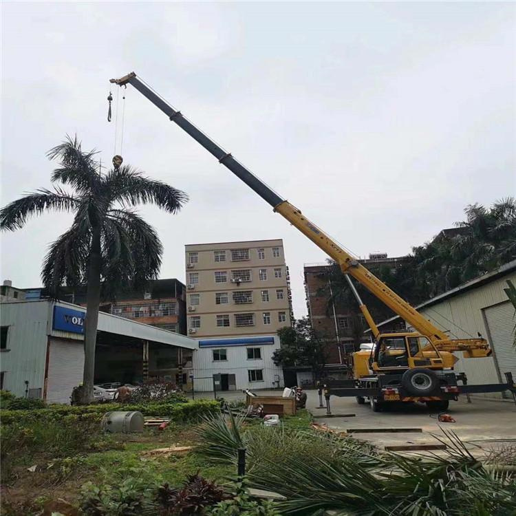 金城江吊车吊大树几种方法